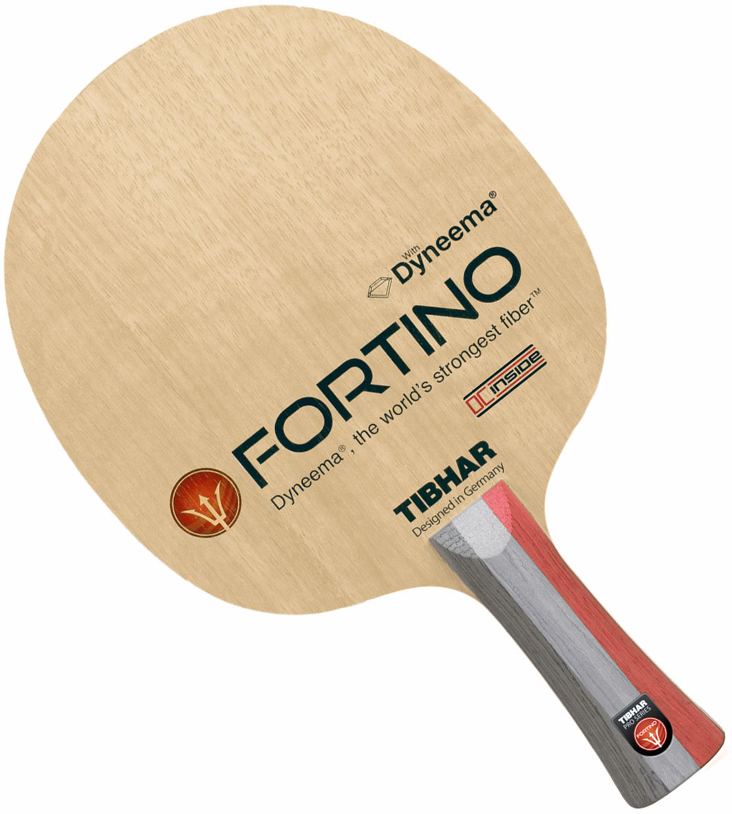 Fortino Pro DC Inside