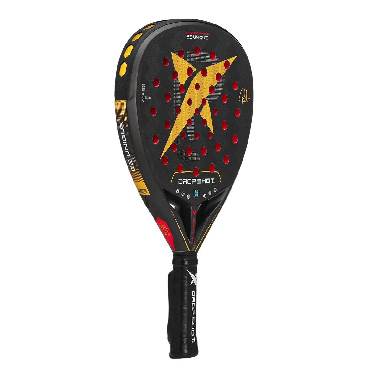Canyon Pro Attack 2.0