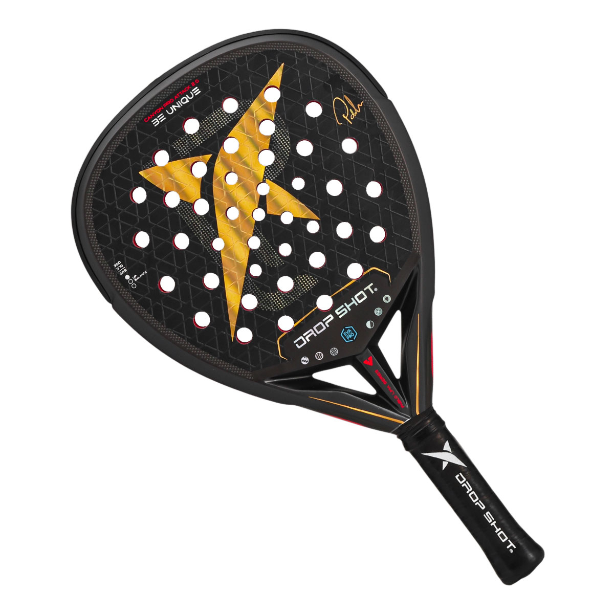 Canyon Pro Attack 2.0