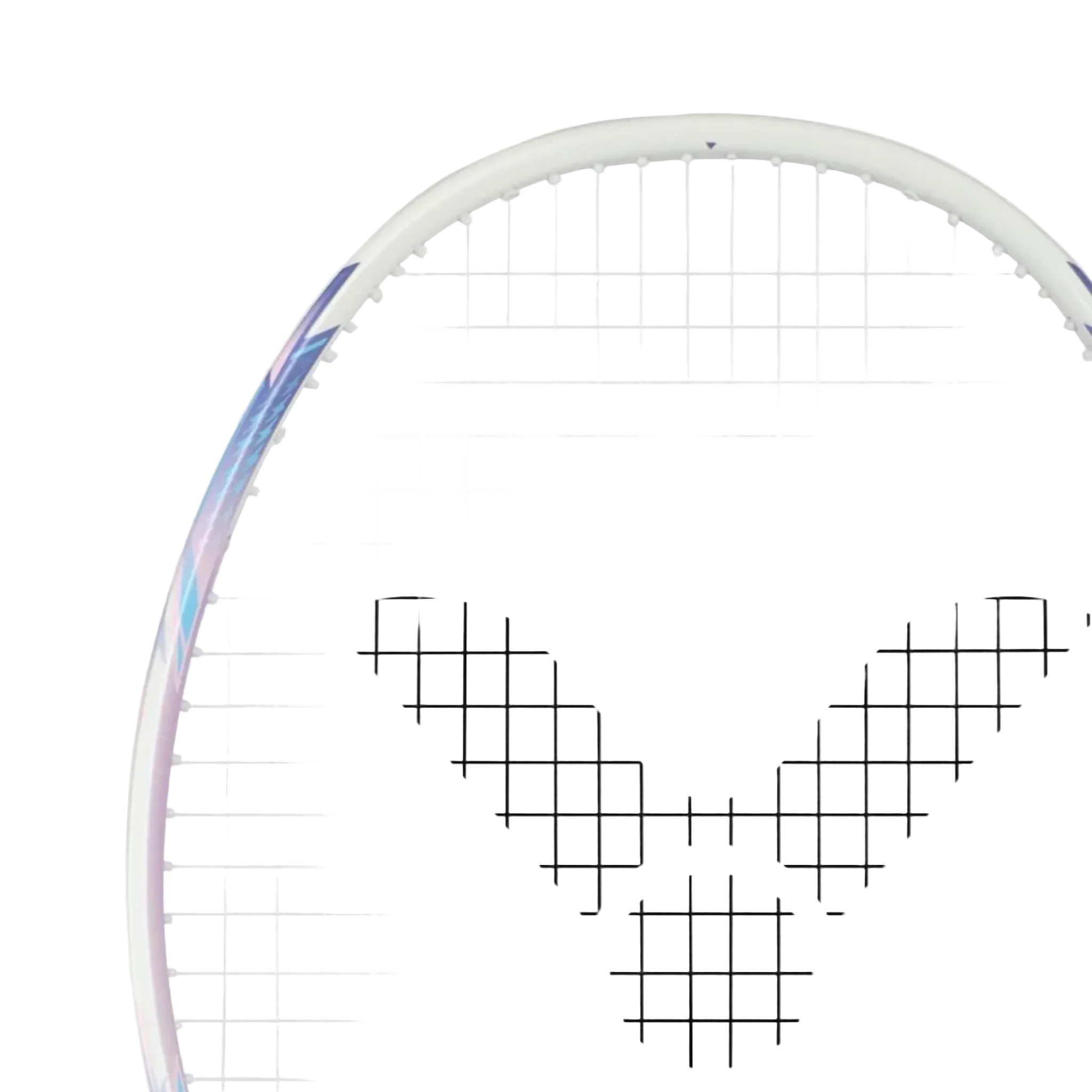 DriveX 7SP