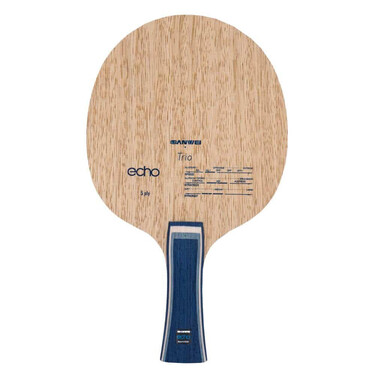 Echo