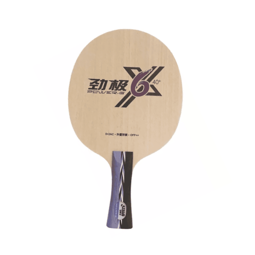 DHS Power G6X table tennis paddle