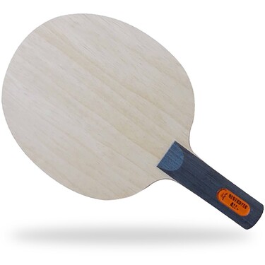 Der Materialspezialist Destroyer table tennis paddle