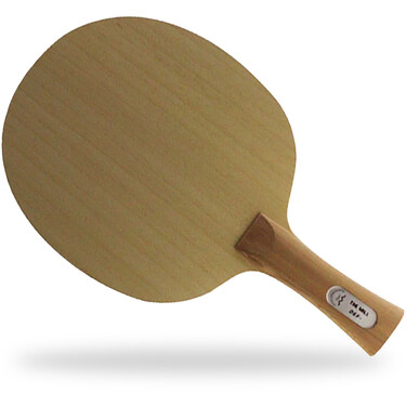 Der Materialspezialist The Wall table tennis paddle