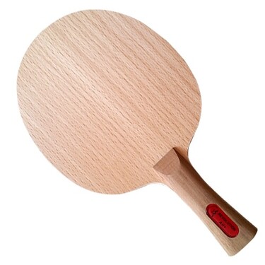 Der Materialspezialist Revolution table tennis paddle