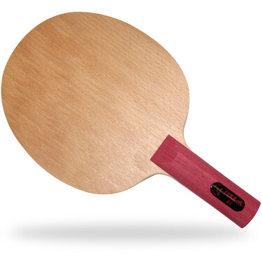 Der Materialspezialist Terror table tennis paddle