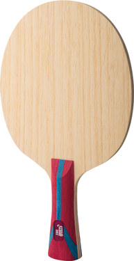 Raquete de tênis de mesa DHS Fang Bo