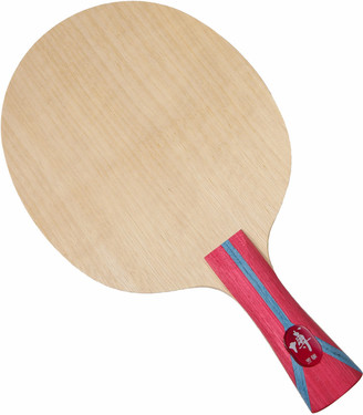 Raquete de tênis de mesa DHS Fang Bo B2