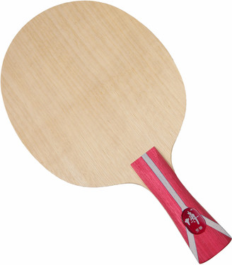 Raquete de tênis de mesa DHS Fang Bo B2 X