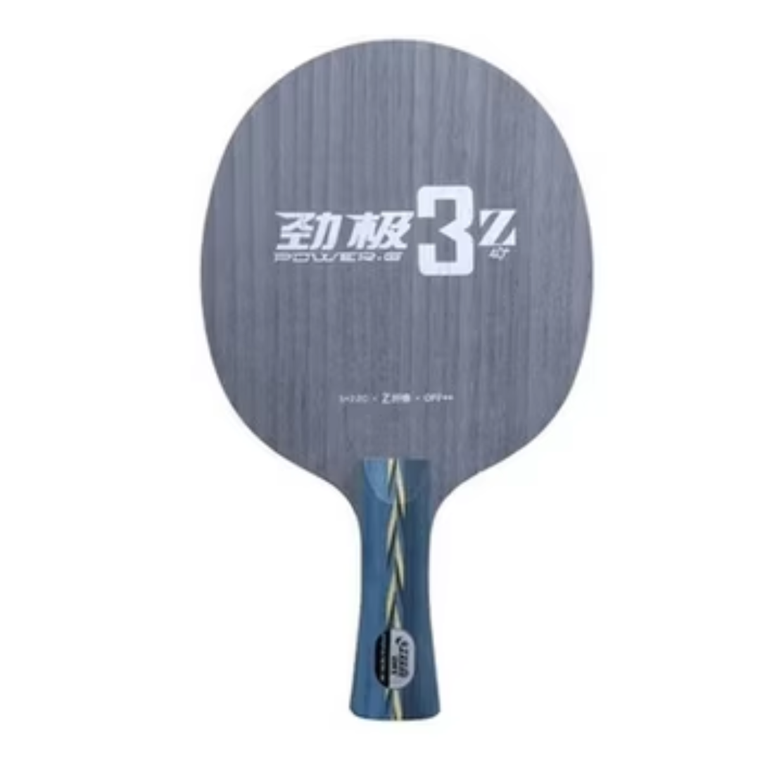 Raquete de tênis de mesa DHS Power-G 3Z