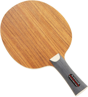 Raquete de tênis de mesa Dr. Neubauer Matador Hybrid Carbon, foto 2