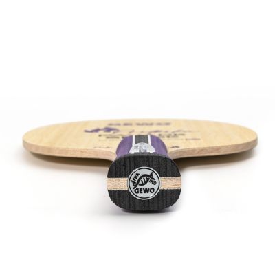 Raquete de tênis de mesa Gewo Prithika Pavade Sense ALL+, foto 2