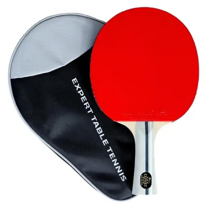 Palio Expert 3.0 table tennis paddle