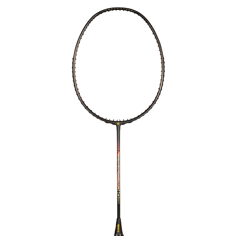 Raquete de badminton Apacs Power Concept 955