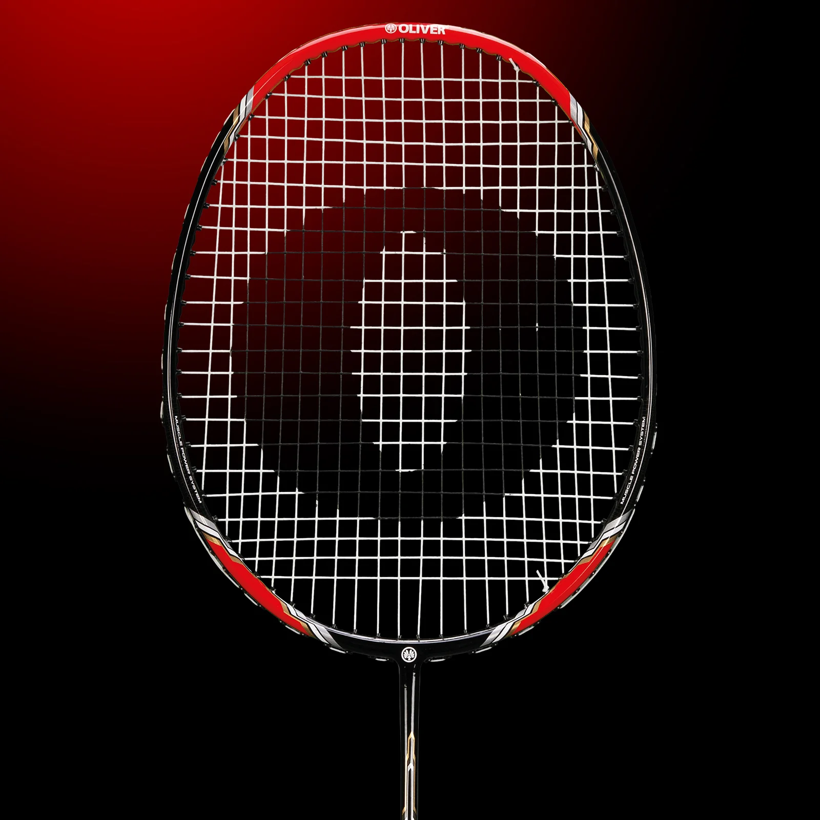 Raquete de badminton Oliver Superior 300, foto 2
