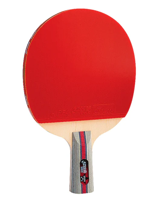 Raquete de tênis de mesa DHS H3006