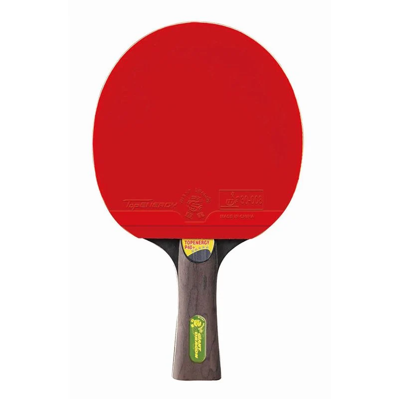 Giant Dragon Topenergy 5 Star table tennis paddle