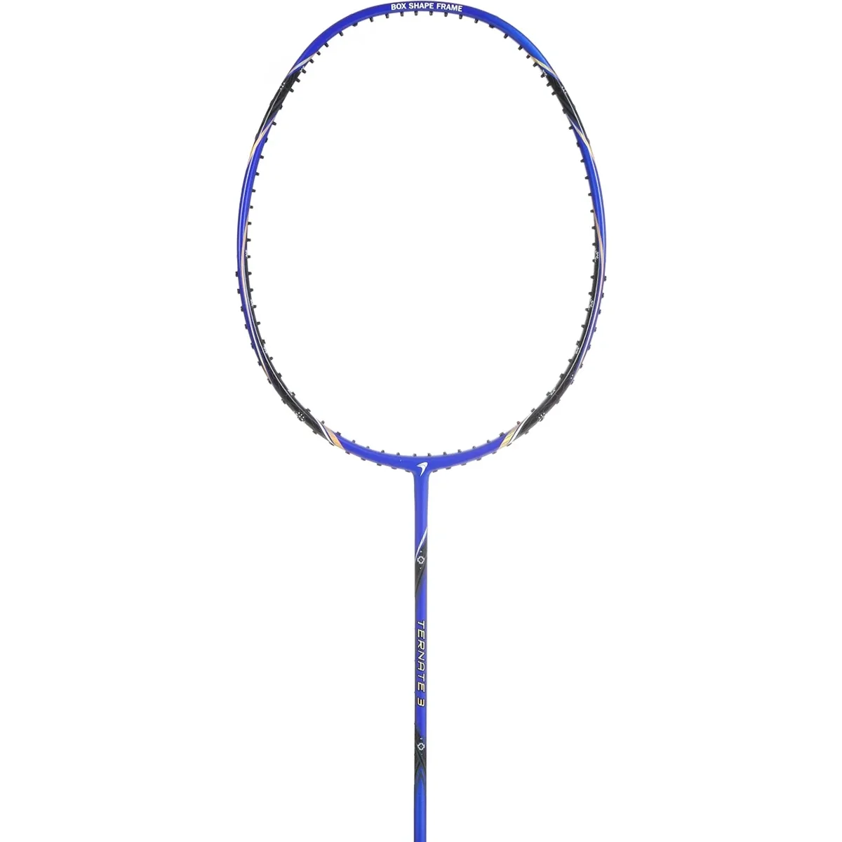 Raquete de badminton Flypower Ternate 3