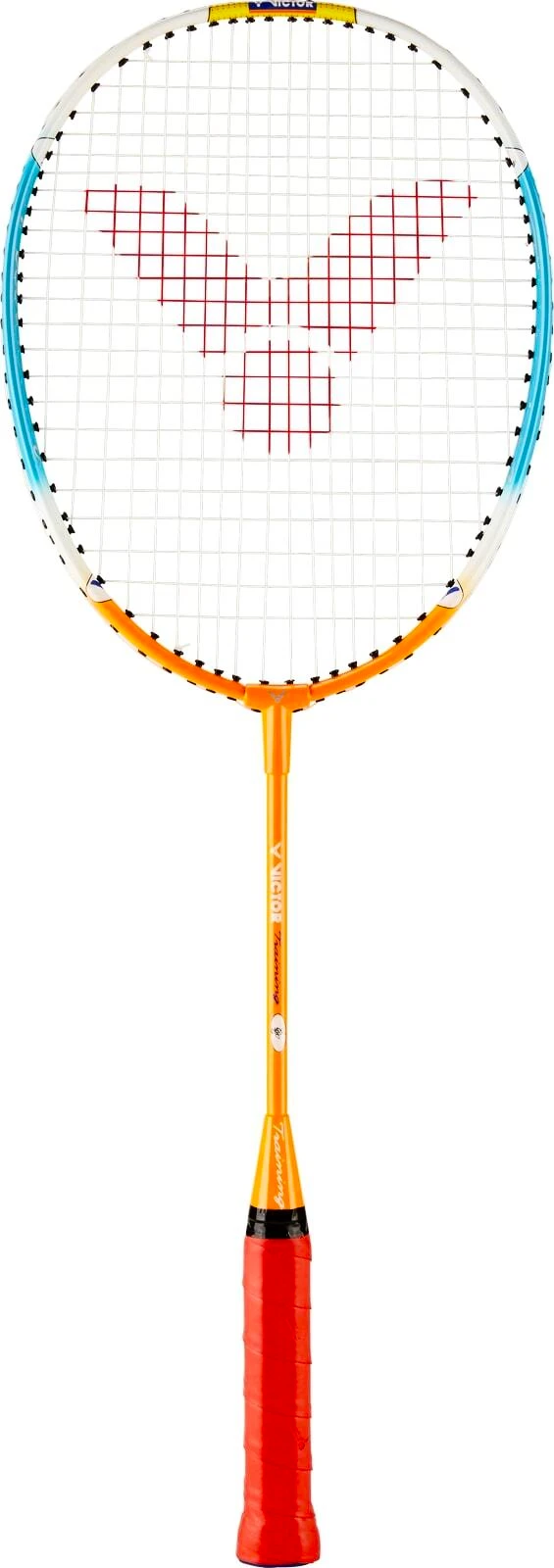 Raquete de badminton Victor Training 58 cm Junior